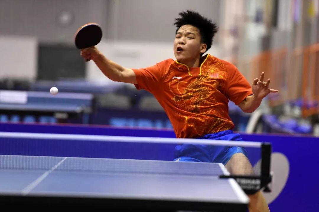 的公平公正 的公平公正