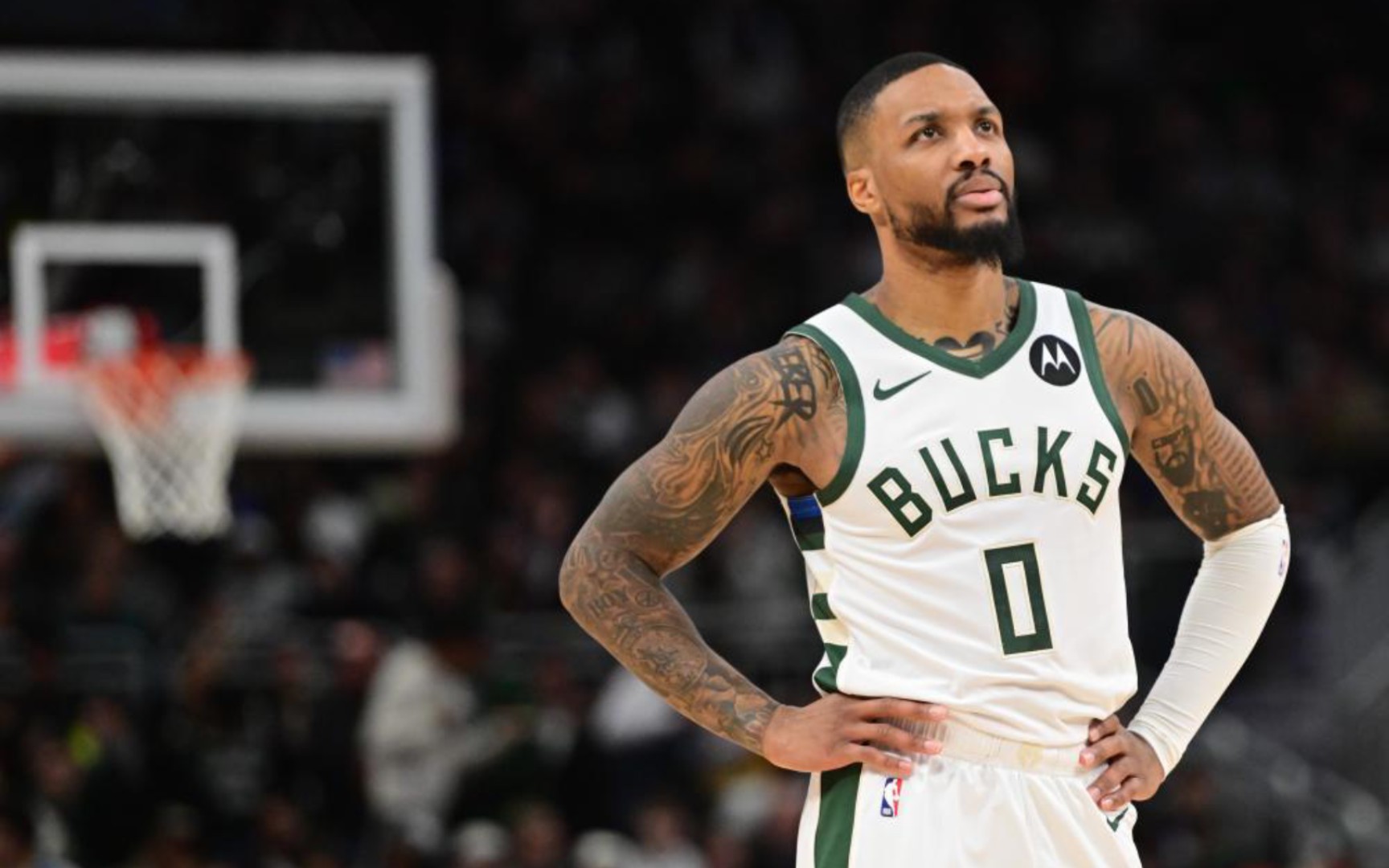 成为每年冬 成为每年冬