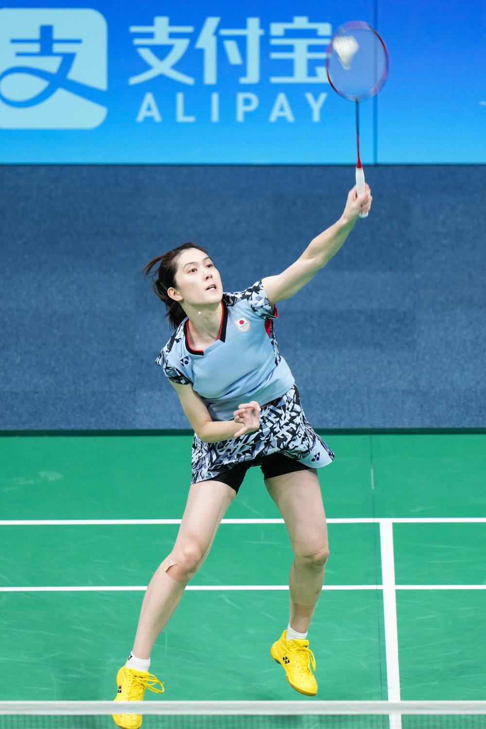 是他们跃上 是他们跃上